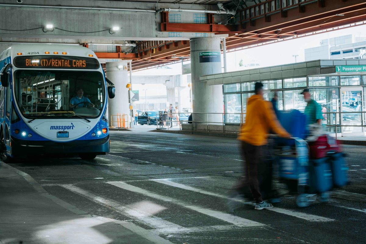 Mini Bus vs. Coach Bus: Which One Fits Your Trip?